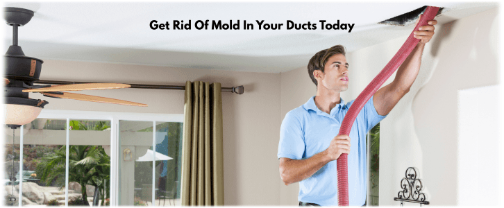 Air Duct Mold Removal in Needham MA