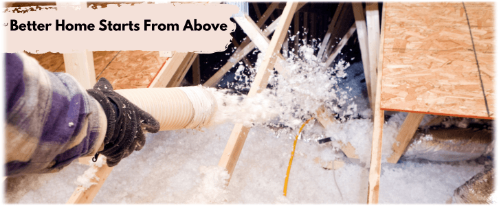 Attic Cleaning Needham MA