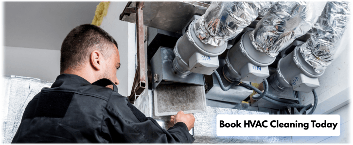 HVAC Mold Removal Needham MA
